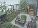 市场中年顾客的回赠