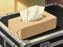 Paper Airplane