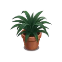 植物