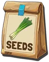 Chive Seeds
