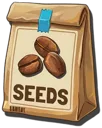 Coffee Seeds