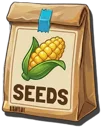 Corn Seeds