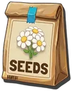 Banksia Rose Seeds