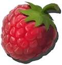 Dried Berries