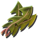 Frozen Spinach