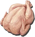 Giant Turkey