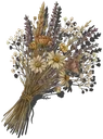 Dried Flower Bouquet