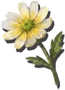 一朵小花