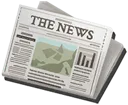 Newspaper