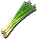Chives