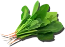 Spinach