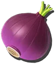 Onion