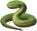 Green Snake