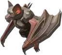 Bat