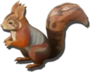 Squirrel