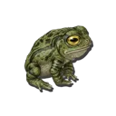 Toad