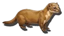 Weasel