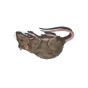 Gray Rat (Dead)