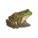 Bullfrog
