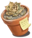 Desk Succulent