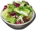 Vegetable Salad (Good)