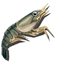 River Delicacy
